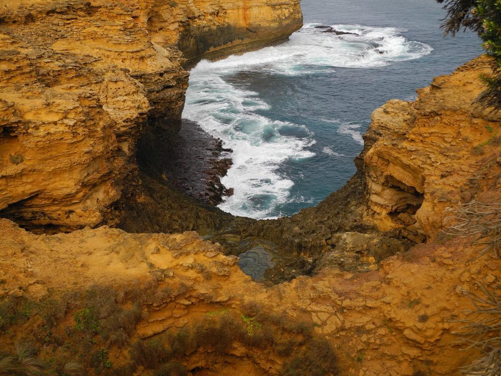 Elm Tree Motel Warrnambool Dış mekan fotoğraf