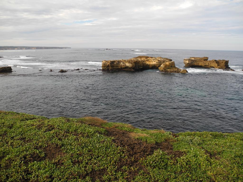 Elm Tree Motel Warrnambool Dış mekan fotoğraf