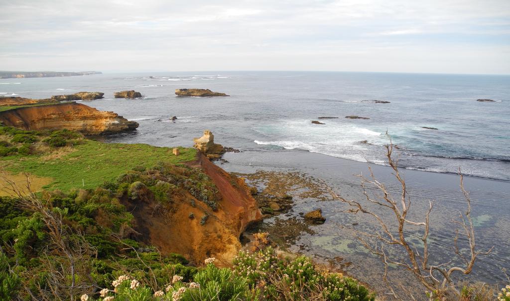 Elm Tree Motel Warrnambool Dış mekan fotoğraf