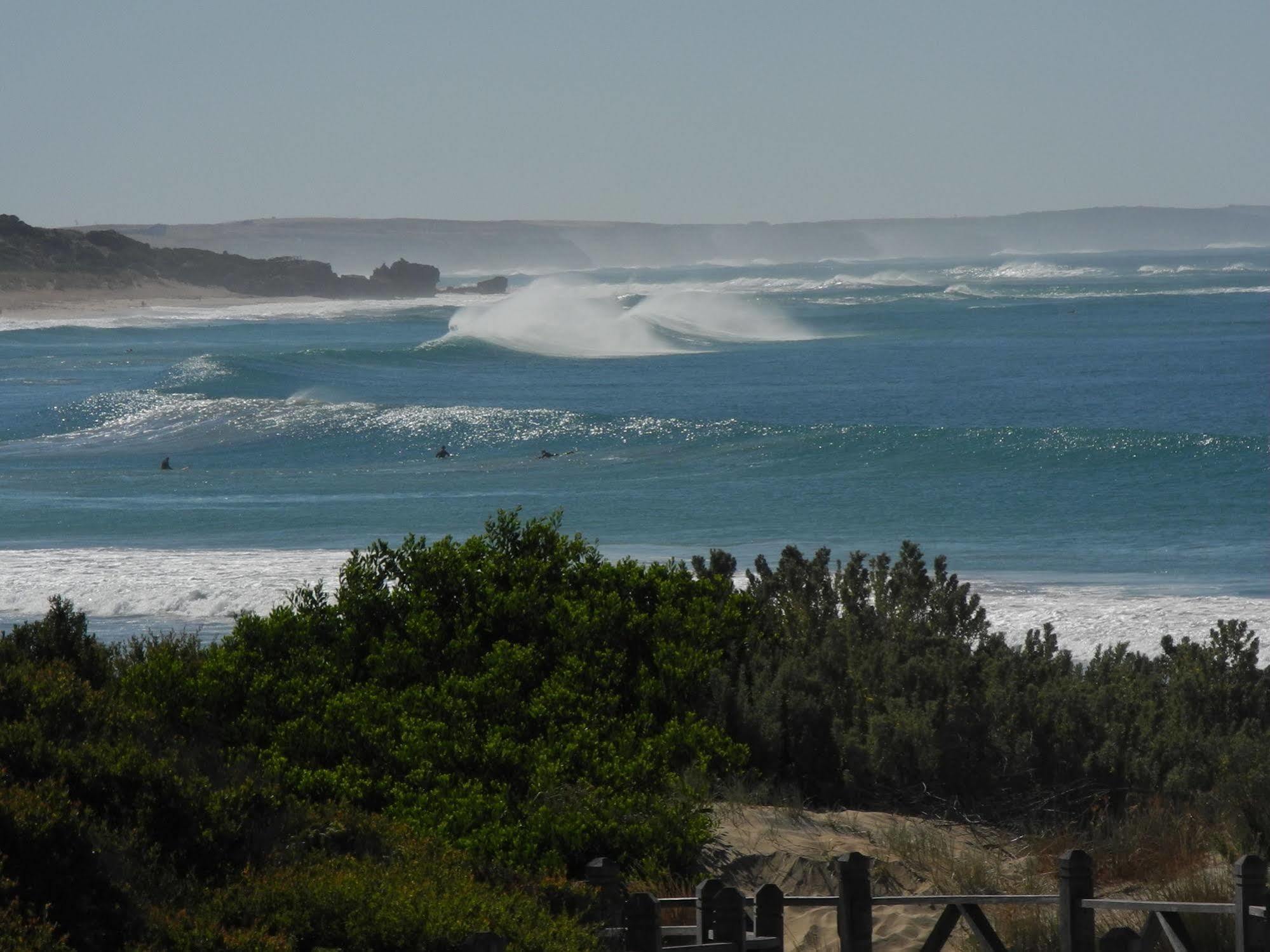 Elm Tree Motel Warrnambool Dış mekan fotoğraf